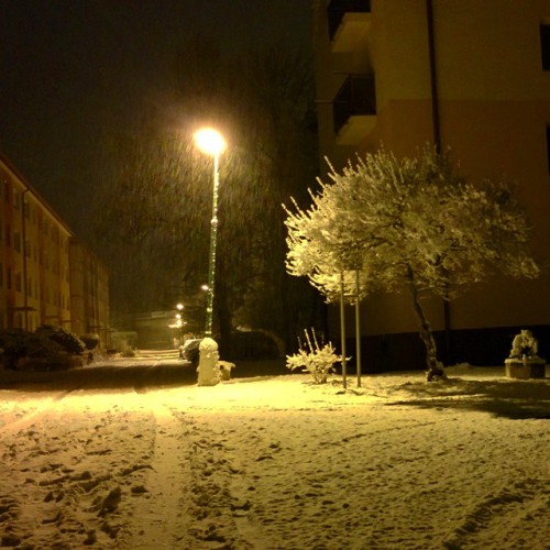 Zima na #Myjava #DolnaStvrt #snow #lamp #tree #night
