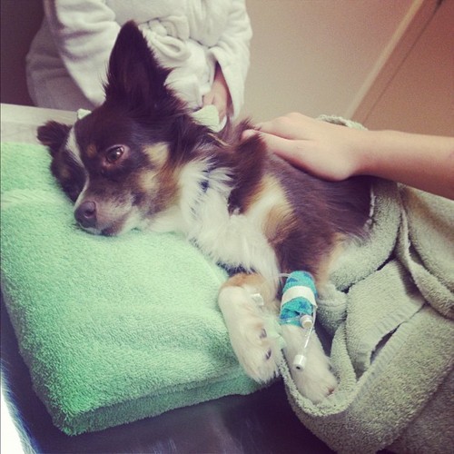 constantinecraze:  Get well soon baby. I love you so much. 💙