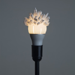 instantjoy:  Lightbulbs Adorned with Sprouting