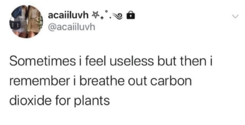 positive-memes: witchesversuspatriarchy: Take a few deep breaths Do it for the plants