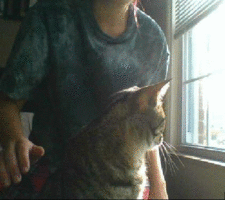 would-y0u-kindly:  so i finally got this fucker to work. tis my awkward strip tease in my pajamas, even my cats like “oh my god stop” they will only get better from here, maybe?