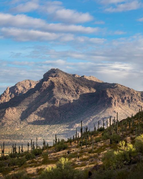 Newman Peak . . . . . #picachopeakstatepark #azstateparks #ig_arizona #morning #visitarizona #newman