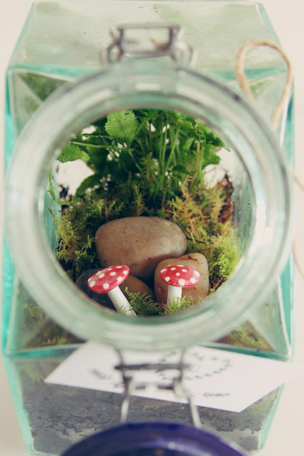 helloyounglionsxo:  I make and sell terrariums as a little hobby that makes me happy