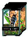 What The Bug On The Top Left Of The Bugs In Enclosures Post?