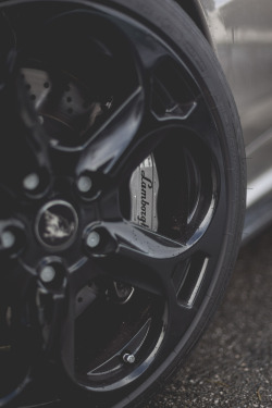 thephotoglife:   Lamborghini. 