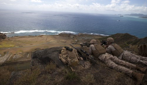 militaryarmament:  U.S. Marine Scout Snipers assigned to Sniper Platoon, Second Battalion, Third Marines (2/3), fire down range at Range 10 aboard Marine Corps Base Hawaii (MCBH), Apr. 8th, 2015. 
