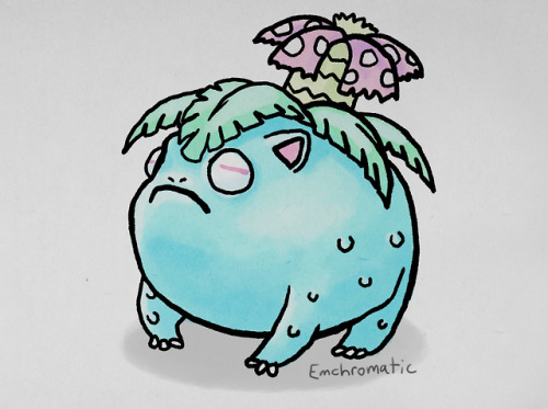 Desert rain frog Venusaur.