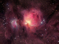 gravitationalbeauty:   M42: Wisps of the