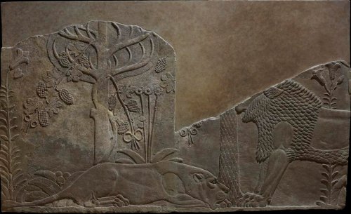 historyarchaeologyartefacts: Lions in a Garden, Assyria, 645–640 BCE, Nineveh, North Palace[10