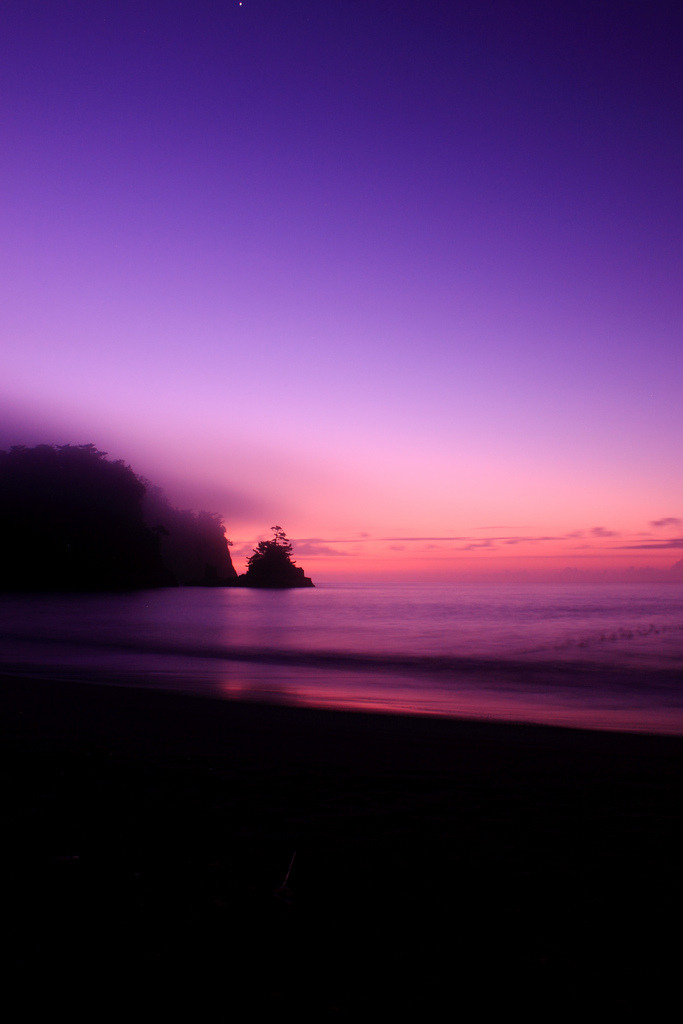 drxgonfly:  before down (by arixxx   )