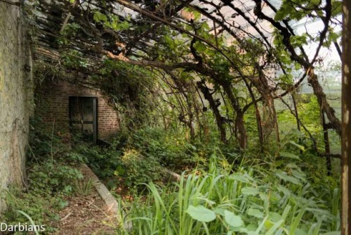 A beautiful abandoned mansion in BelgiumCheck the link for more from here….Manoir Von Duchess