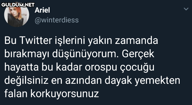 Ariel @winterdiess Bu...