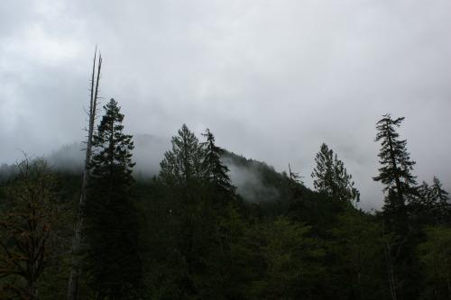 frommylimitedtravels:Ridges and clouds.