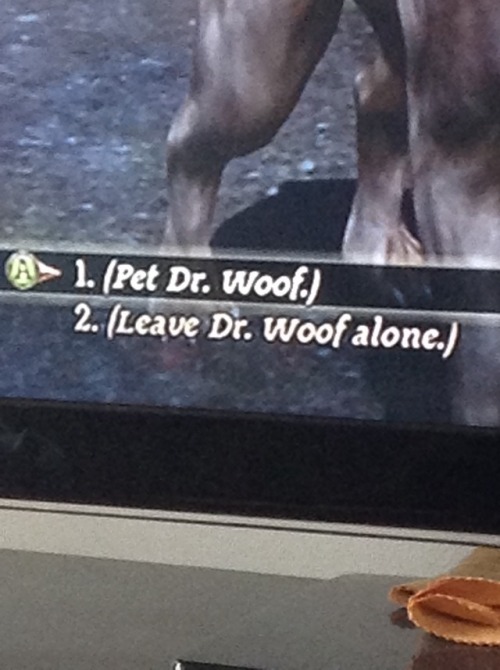 foolishandfurious: Naming the dog is the best thing about Dragon Age: Origins