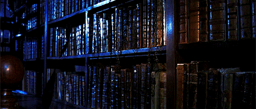 victoriaspedretti: I remember every wand I’ve ever sold, Mr. Potter. It so happens that the phoenix whose tailfeather resides in your wand gave another feather… just one other. It is curious that you should be destined for this wand when its brother