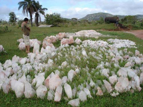 belovedlotus:psychetronictonic:ancienttimenews:&ldquo;These crystals were discovered in a bed of