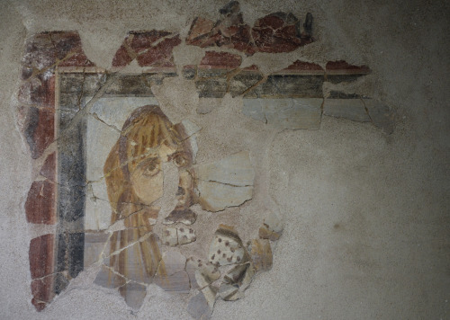 fuckyeahwallpaintings:Wall paintings from the House of Aion at Nea Paphos ,4th Century, today at Pap