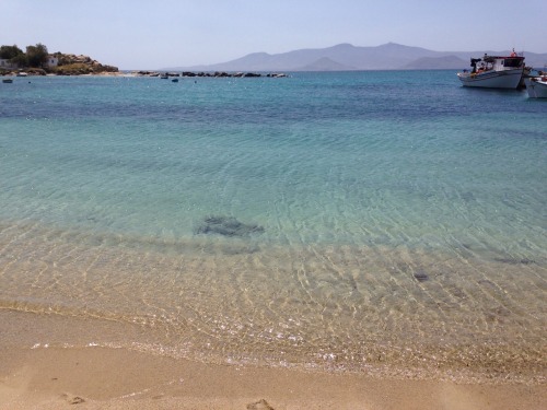 The beach of Naxos // Catullus 64