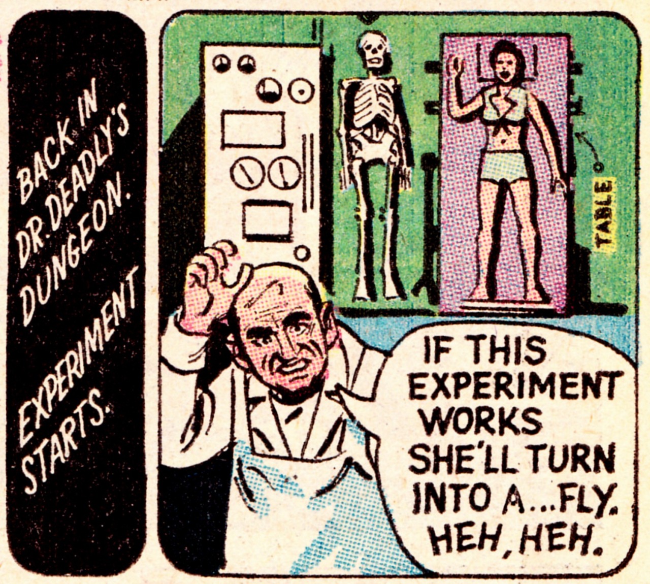 void-dance:  jthenr-comics-vault:  1971 AURORA Builder Kits AD  feat. Vampirella 