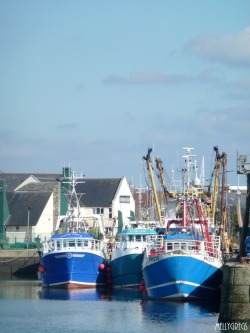 mellygregs:  Blue.Plymouth Harbour. UK.March 2015.