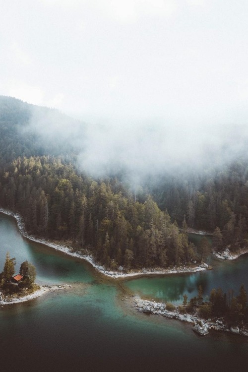 naturedm: Follow the blog i reblogged this from