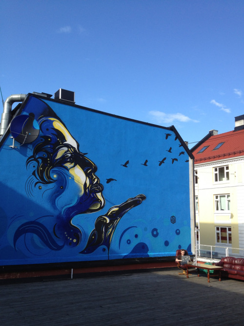 fer1972:  ‘Volare’ Street Art in Oslo by C215