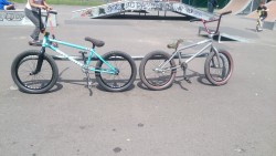 The steeds; Mine on the right, Harrison’s