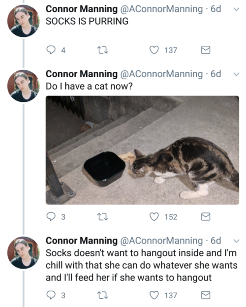 aconnormanning: so i have a cat now This is so cute and sweet &lt;3 &lt;3 