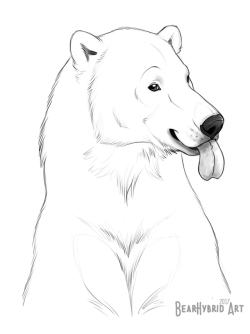 bearlyfunctioning:   Polar Blep! - Another