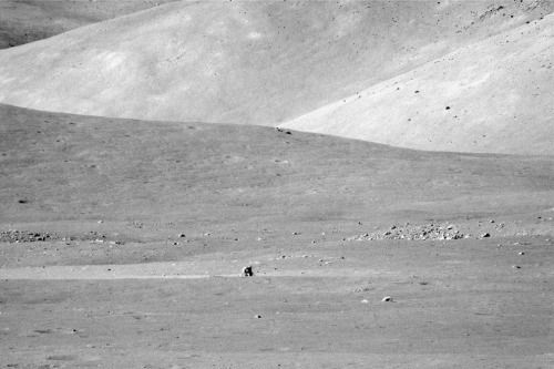 shuttleisland:kaiyves:space-pics:NASA’s scariest image. The Apollo 17 LM taken from a distance of 2 
