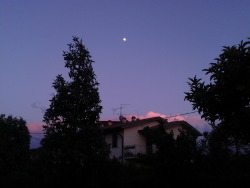 Waxing Gibbous