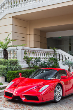 hyper-caine:  Ferrari Enzo | Source | HC 