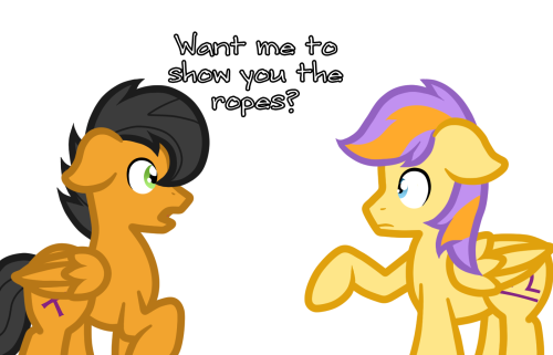 asklibrapony:  “M!A you are now a stallion” - Anon “What happend to the saggitarius” - fatimaa15  Can you not?  X3