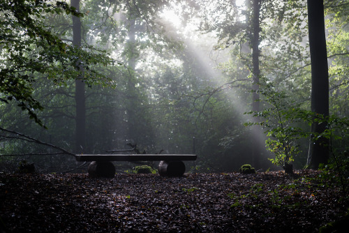 silentfrost:Waldfriedhof Siegen 04Von ULach