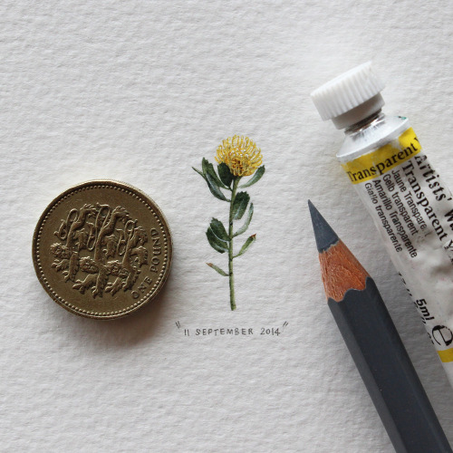 ladyinterior:  Postcards For Ants, Lorraine Loots 