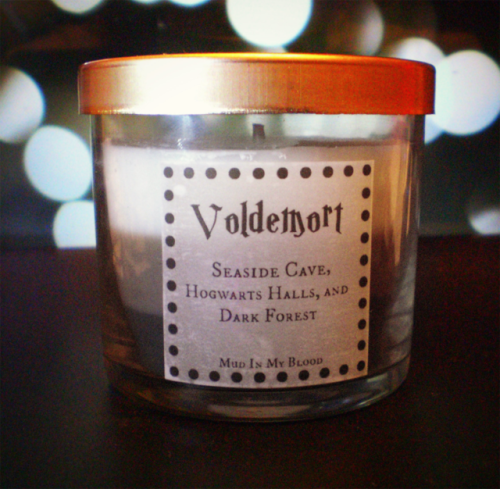 acid-washed-thoughts: cherry-pie-dean: Harry Potter Characters Themed CandlesThere are even more cha