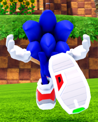 Riders Sonic, Sonic Speed Simulator