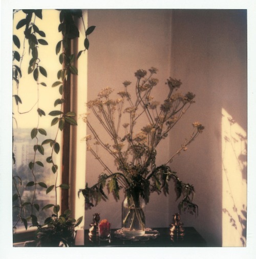 zzzze:Andrei Tarkovski Polaroid Photograph - ( Polaroid print)