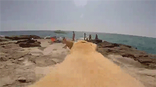 sizvideos:  Video