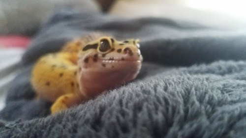 crickndip:o big dummby.. how i lov u so.