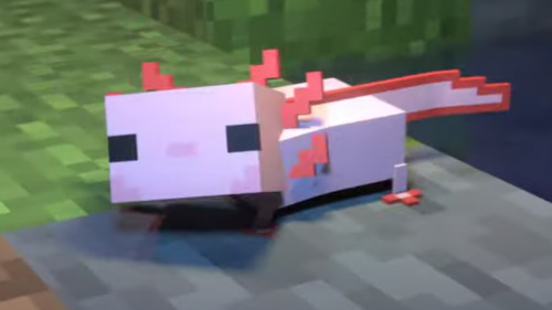 Minecraft Axolotl Explore Tumblr Posts And Blogs Tumgir