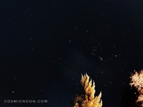 A rising Orion on a cold December night 