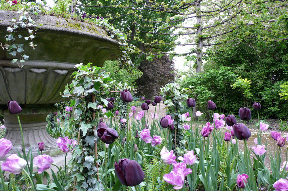 A Nature Blog