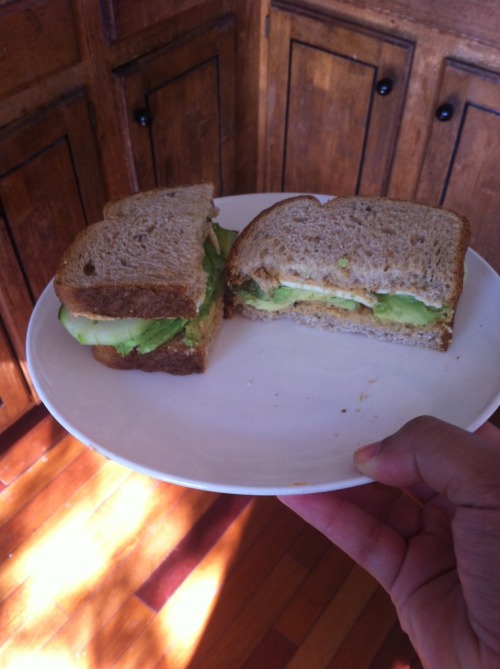 Sandwich with roasted tomato and basil hummus, veggie pepper jack “cheese”, cucumber, an