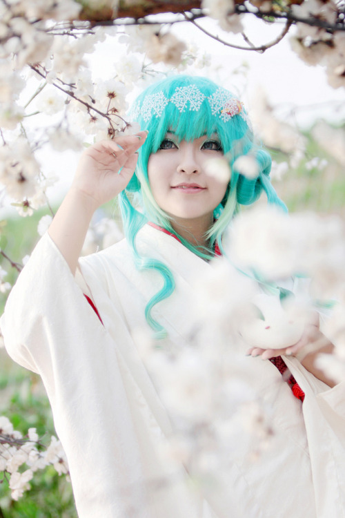VOCALOID cosplay ~Yuki Miku 2013~ Cosplayer: Sei Tominaga Character: Hatsune Miku Photo by Sky