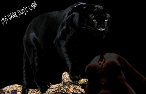 Welcome to the Dark&hellip;a series I did a while back for the Dark site