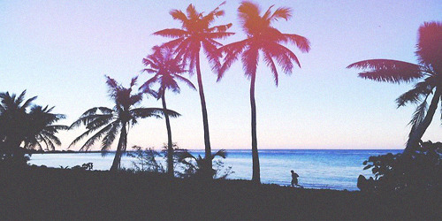 only headers ♡ — random ♡