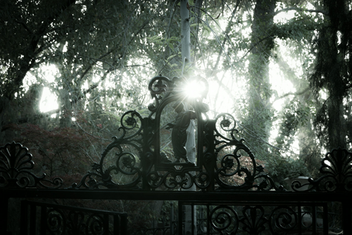 yeah-disneygeek: Disneyland Haunted Mansion All photos from Tours Departing Daily  I miss the Haunte