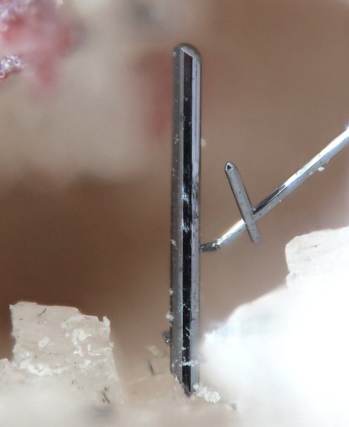 Black Imiterite and Cinnabar on matrix - Imiter Mine, Souss-Massa-Draâ Region, Morocco