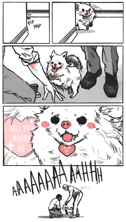 hcnnibal: anyways, her name is meri (short for meringue) and shes the new alpha of the lecter-graham